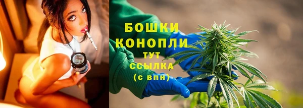 шишки Ростов