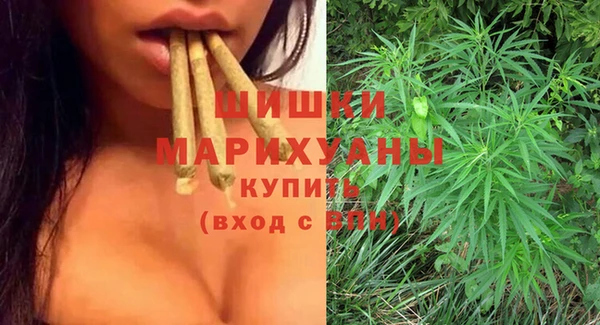 шишки Балабаново