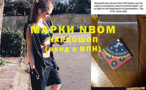 шишки Балабаново