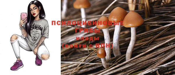 шишки Балабаново