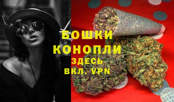 шишки Балабаново