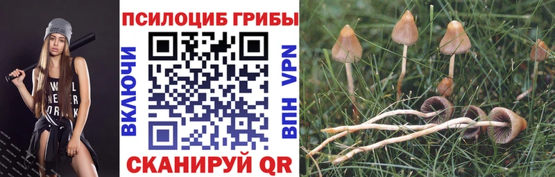 Псилоцибиновые грибы ЛСД  Нестеров 